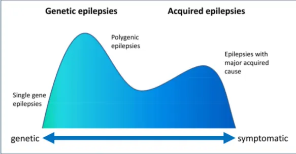 Figure 1-1 | Biological spectrum of epilepsy (Adapted from Berkovic et al., 2006) 