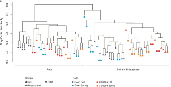 Figure  6:  OTU  dissimilarity  of  the  bacterial  communities  identified  in  soil,  rhizosphere  and  root  compartments