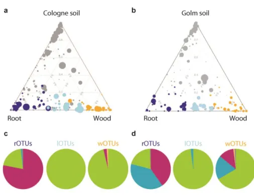 Figure  9:  Ternary  plot  similar  to  Figure  8  including  the  wood  compartment  in  (a)  Cologne  soil  and  (b)  Golm  soil