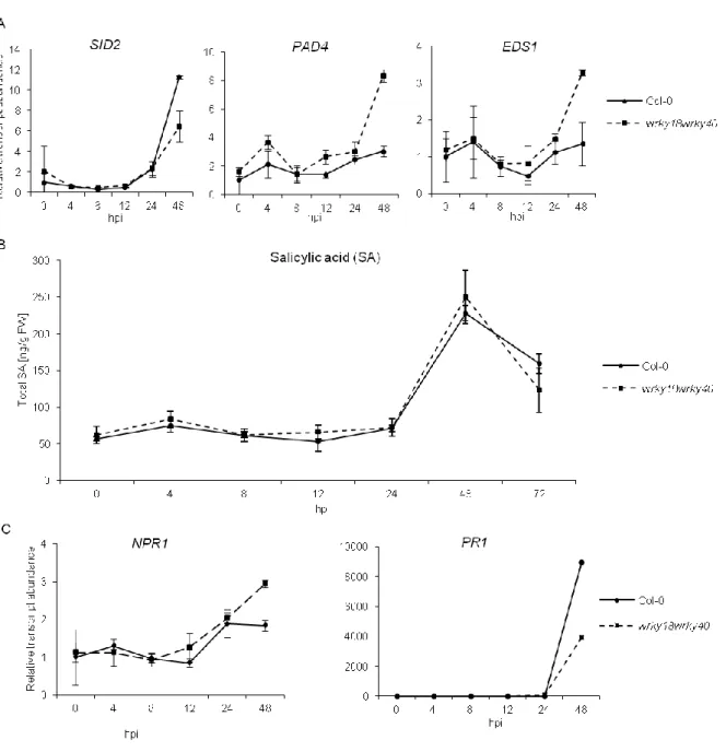 Figure  4:  Activation  of  the  SA/EDS1  signaling  pathway  and  SA  levels  during  early  G