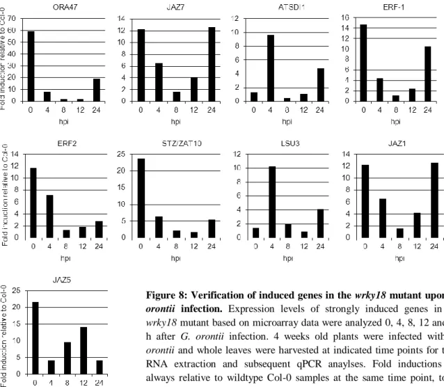 Figure 8: Verification of induced genes in the  wrky18 mutant upon G. 