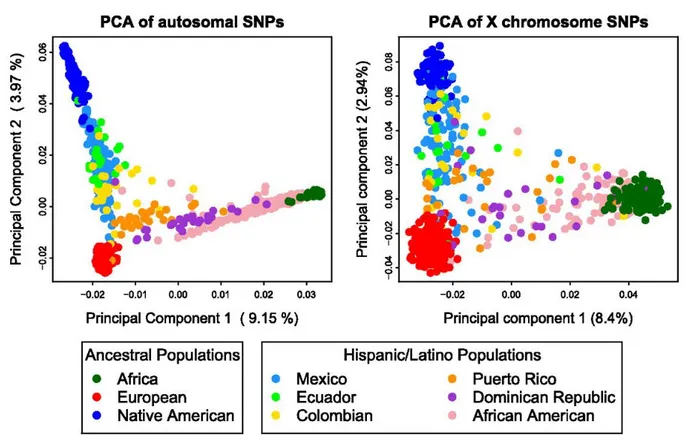 Abb. 2-4  Weltweite Populationsstruktur abgebildet durch PCA 