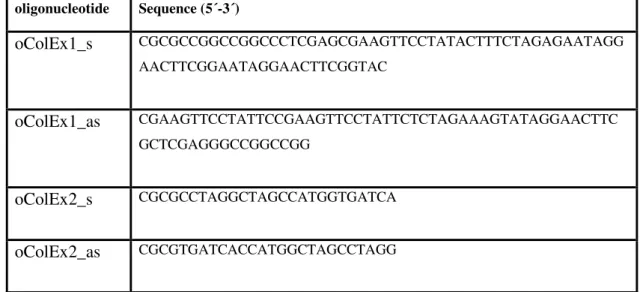 Table  5:  Oligonucleotides  used  for  cloning  pCol1a1T(RMCE_2Neo).  Corresponding  sense  and  antisense  oligonucleotides  were  phosphorylated  and  annealed  as  described  under  2.2.2