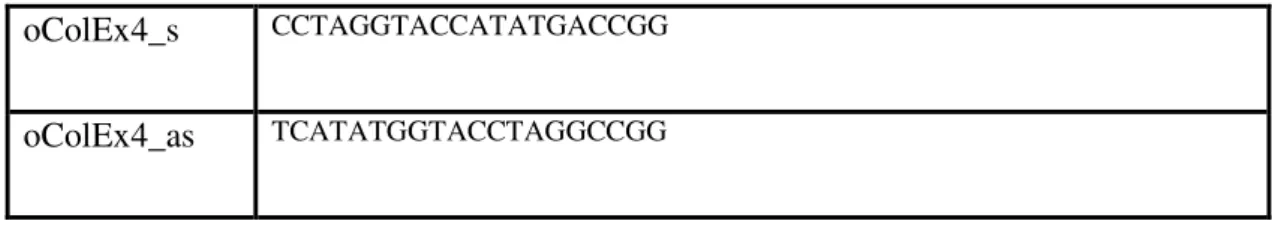 Table 6: Oligonucleotides used for cloning basic RMCE-2 exchange vector. Corresponding sense and  antisense  oligonucleotides  were  phosphorylated  and  annealed  as  described  under  2.2.1