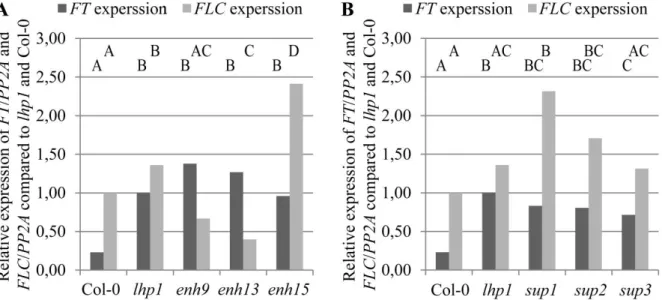 Figure 5: FT and FLC expression of selected enhancers and suppressors of lhp1 