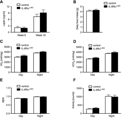 Fig. 12: Unchanged energy homeostasis in mice lacking hepatic IL-6Rα signaling  (A)  Amount  of  circulating  leptin  concentrations  in  the  blood  serum  of  8  and  16  weeks  old  mice,  measured  by  ELISA  (n=10/genotype)