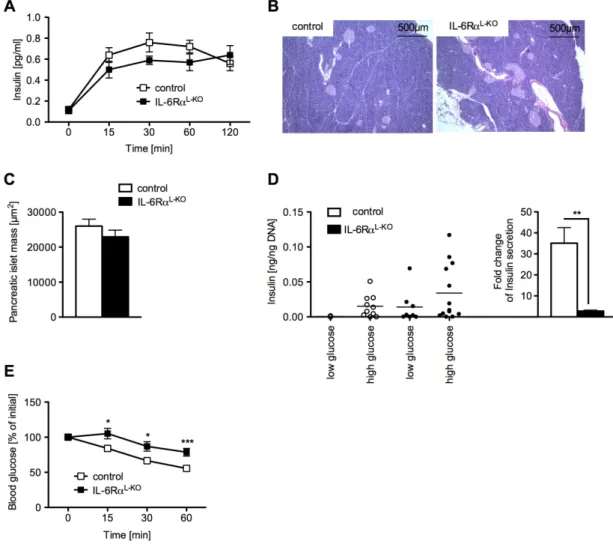 Fig. 14: Impaired insulin sensitivity in IL-6Rα L-KO  mice 