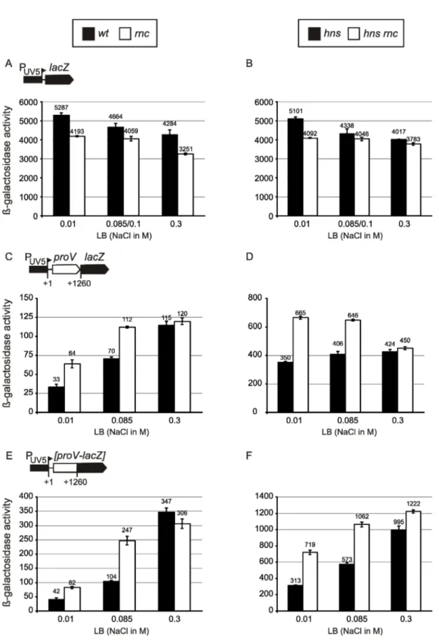 Figure 8. Effect of rnc mutation on the osmoregulation of proV expressed from the constitutive lacUV5  promoter