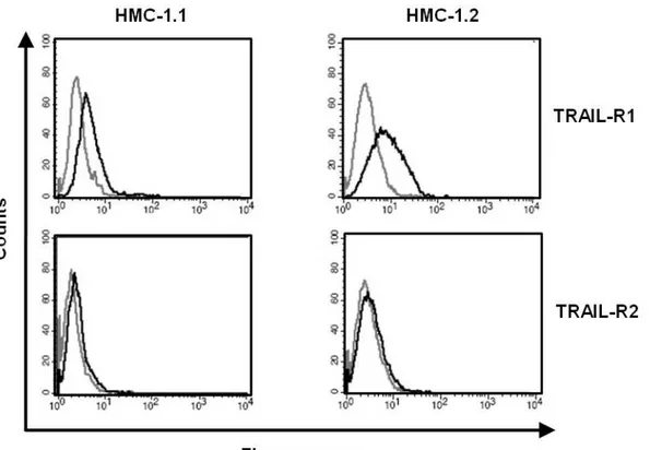 Fig. 2.3 Human neoplastic mast cells express TRAIL receptors on the cell surface: 