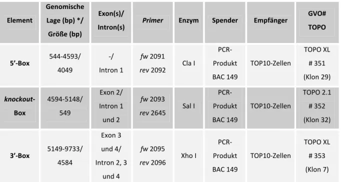 Tabelle  18:  Amplifizierte  und  in  TOPO-Vektoren  klonierte  Elemente  zur  Generierung  des  Bdp1-targeting-Konstruktes 