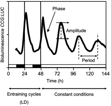 Figure 1.2.  Analysis of circadian rhythms.  