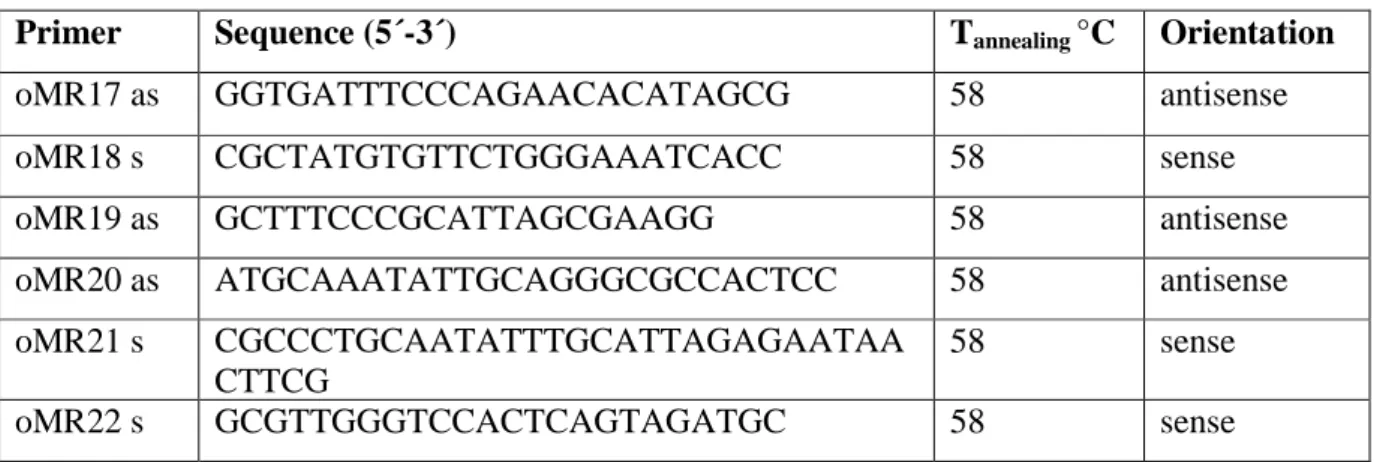Table 4: Primers used for fusion PCR-synthetic1.1, -synthetic2.1 and -synthetic6.1 