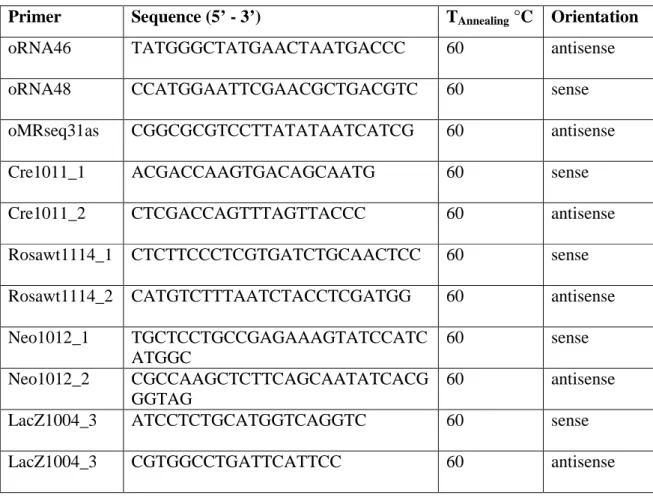 Table 6: Primers used for genotyping 