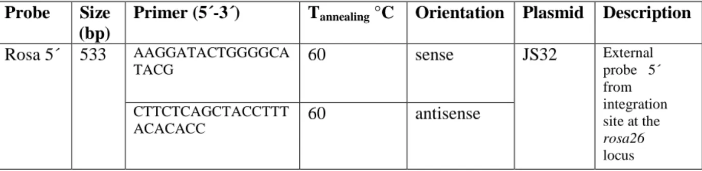 Table 8: Probes for Southern Blot generated by PCR 