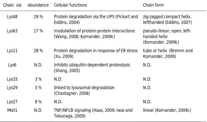Table 1.1: Relative cellular abundance and form of homotypic poly-ubiquitin chains 