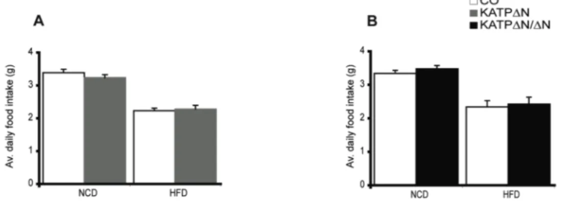 Figure 12: No difference in food intake of K ATP ∆N Sim1  and K ATP ∆N/∆N Sim1  males  