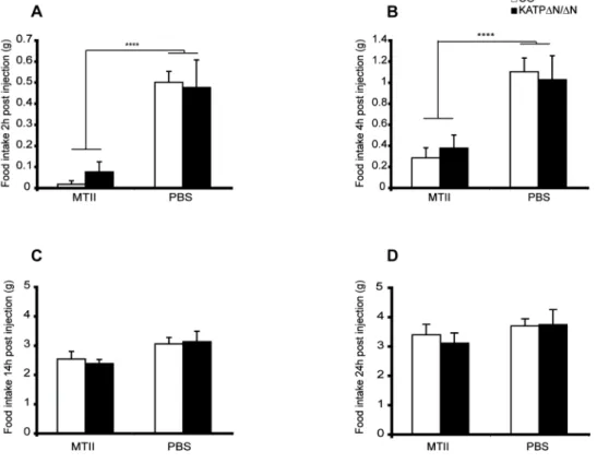 Figure 13: Melanotan II (MTII) sensitivity of K ATP ∆N/∆N Sim1  mice (NCD) 