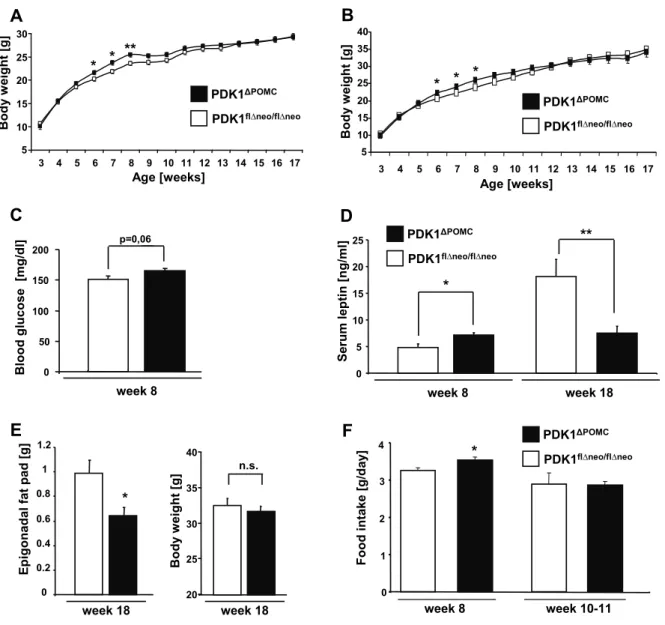 Figure 10: Increased body weight and hyperphagia in young PDK1 ΔPOMC  mice.  