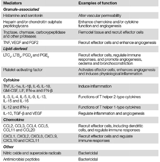 Table 1.1 Mediators synthesized by mast cells. Table is taken from the review  of Marshall, 2004 