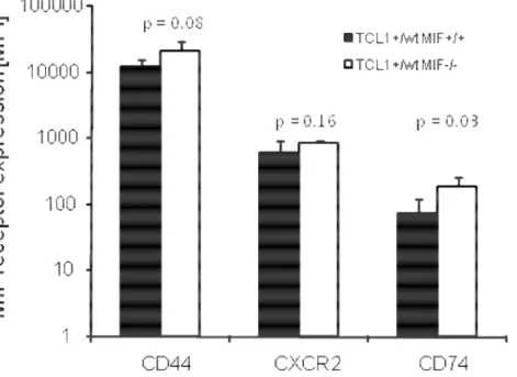 Figure  15:  Expression  of  the  MIF  receptors  CD74,  CD44  and  the  chemokine  receptor  CXCR2in TCL1 +/wt  MIF +/+  and TCL1 +/wt  MIF -/-  mice
