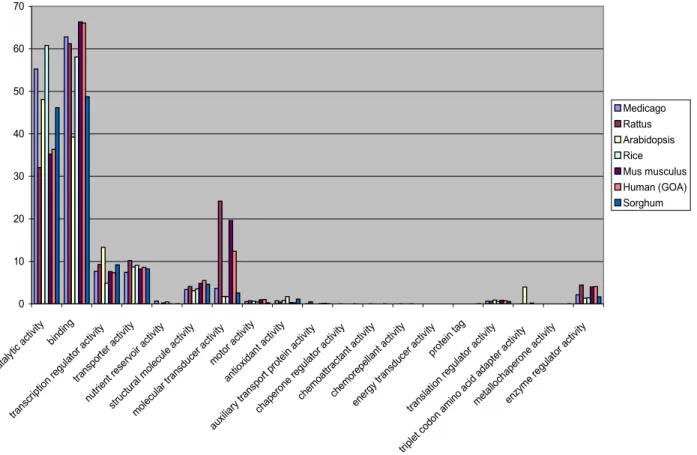 Figure 11: Comparison of the number of genes in the most general &#34;molecular function&#34; Gene Ontology categories  between different organisms.