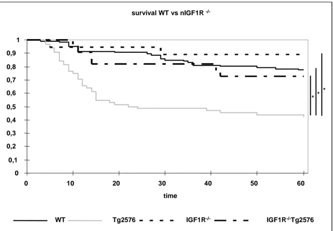 Fig. 3-9 Kaplan-Meier analysis of WT, Tg2576, nIGF-1R -/-  and nIGF-1R -/- Tg2576 animals