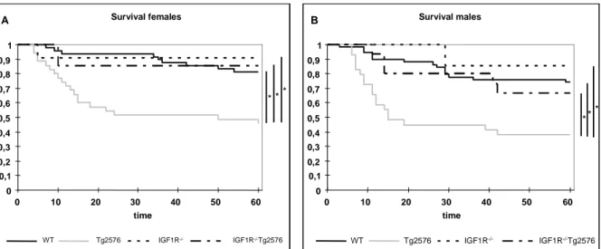 Fig. 3-10 Kaplan-Meier analysis of WT, Tg2576, nIGF-1R -/-  and nIGF-1R -/- Tg2576 females and  males 
