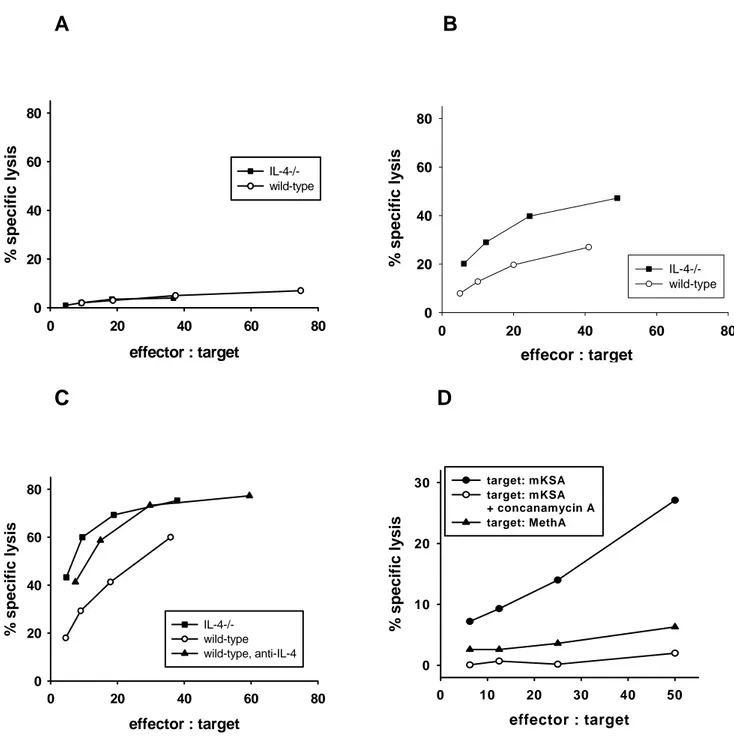 FIG. 4. Primary cytotoxicity of CD8  TAL from Tag-immunized IL-4 + -/-  or wild-type mice at different  times after challenge