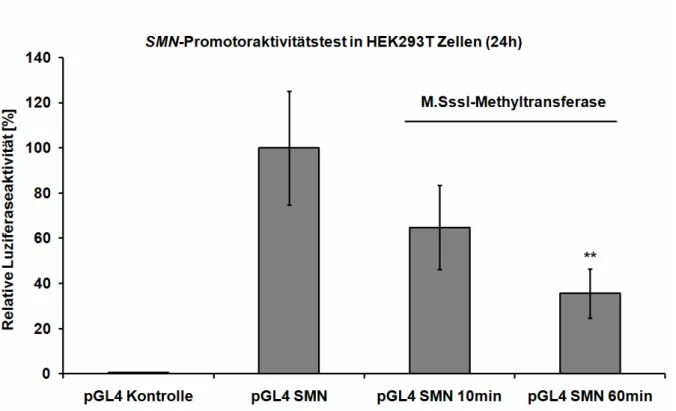 Abbildung  10:  Mittelwerte  des  Promotoraktivitätstests  in  HEK293T  Zellen  aus  3  unabhängigen Versuchen