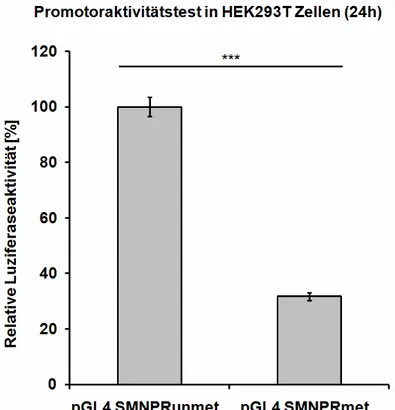 Abbildung  12:  Promotoraktivtätstest  in  HEK293T  Zellen  (n=4):  Durch  Klonierung  des  methylierten  SMN-Minimalpromotors  wurden  Effekte  durch  die  Methylierung  des  Vektors  ausgeschlossen