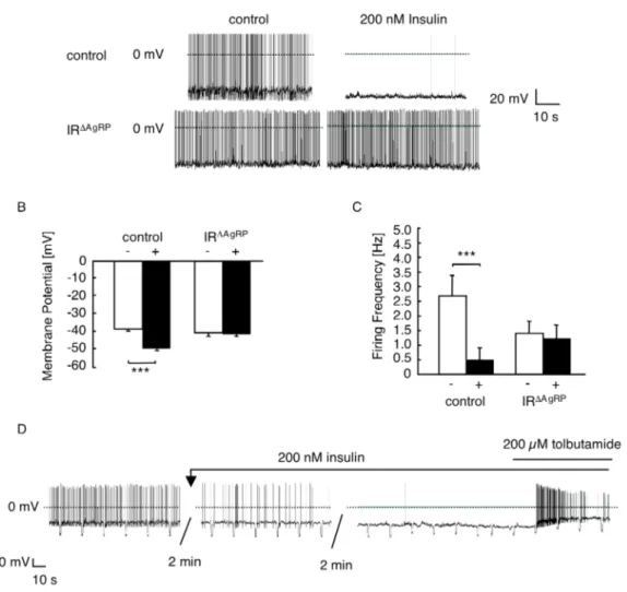 Figure 15: Effects of insulin and tolbutamide on electrical activity of control and IR ΔAgRP -Z/EG neurons