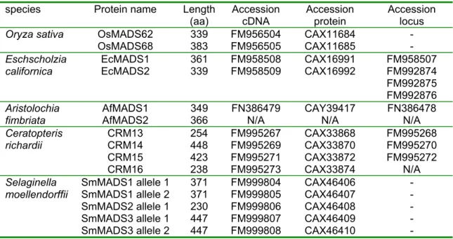 Table 1. Overview of the isolated sequences reported in this manuscript. Selaginella and Oryza loci  are available from their respective databases