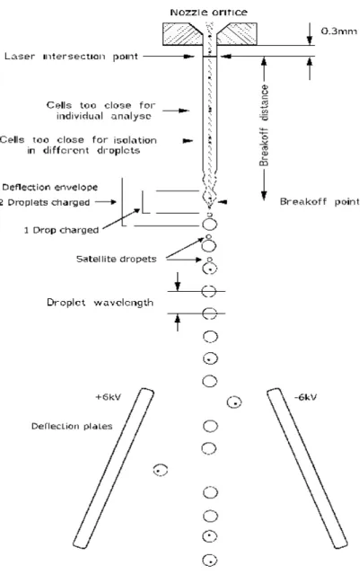 Fig 13. The sketch of a sorting nozzle (Shapiro 2003). 