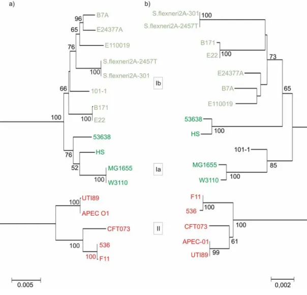 Fig. 13: Phylogenetic comparison of bgl locus and species trees. (a) Neighbor-joining tree of  complete bgl locus from 17 strains obtained from NCBI sequence databank