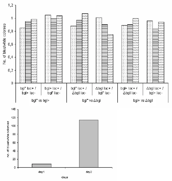 Fig. 17: a)  E. coli K12  competition growth experiments. Results of the competition growth between  wildtype bgl strain (bgl°) and activated mutant (bgl + ) competed against a deletion mutant (Δbgl)