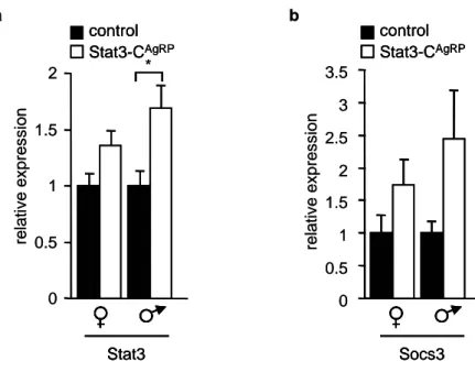 Figure 8: Enhanced expression of hypothalamic Stat3 and Socs3 in Stat3-C AgRP  mice 