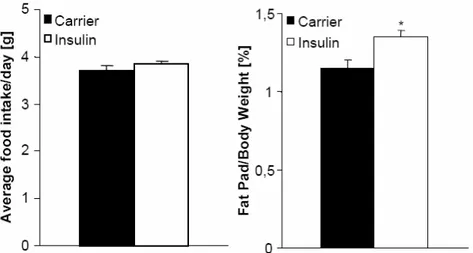 Fig. 18: Chronic icv infusion of insulin increases adipose tissue mass without changes in body  weight or food intake in C57BL/6 mice
