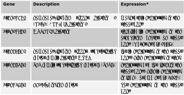 Table 3.1.1. Results of TF library screening for interactors of RAX1. Sequencing revealed five different  genes were present in 36 selected clones