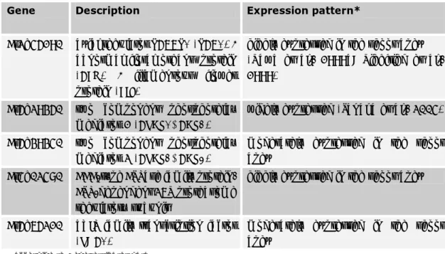 Table 3.1.2. List of the interesting putative interactors of RAX1 screened from the apex cDNA library