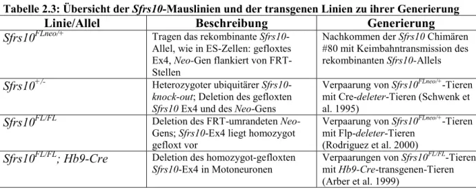 Tabelle 2.3: Übersicht der Sfrs10-Mauslinien und der transgenen Linien zu ihrer Generierung 