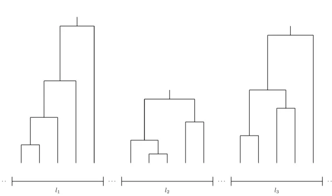 Figure 1.2 Possible coalescent trees for three different loci.