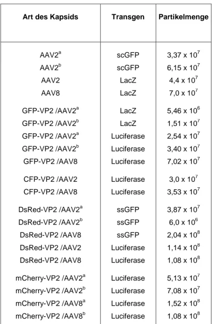 Tab. 3-1:  Vergleich von AAV-Präparationen nichtmarkierter und Fluoreszenzprotein-markierter Vektoren