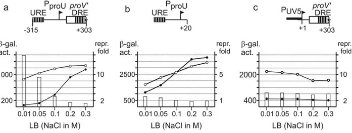 Figure 6. Cooperativity in repression by H-NS in the proU operon: The chromosomal integrants of proU  operon containing ProU URE  and proU DRE  in the natural context (a), the proU URE  alone (b) and proU DRE  alone  expressed from PUV5 promoter (c) is sho