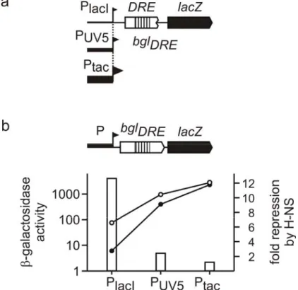 Figure 7.  Transcription influences the repression by H-NS through bgl DRE : Schematic representation of  bgl DRE -lacZ or proU DRE -lacZ fusion expressed by promoters of different strength (PlacI, PUV5, Ptac) (a)