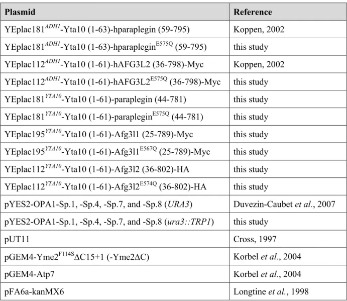 Table 3. List of plasmids used in this study. 