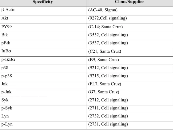 Table 3: List of antibodies used for Western Blotting 