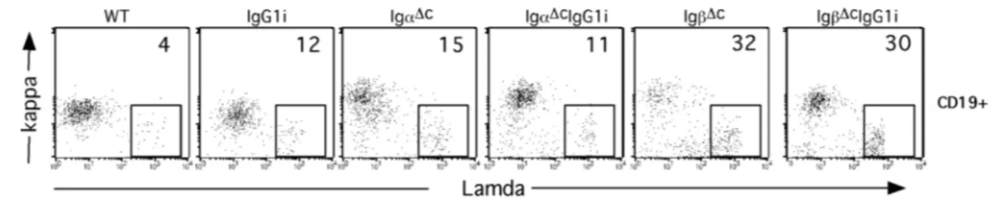 Fig. 10 FACS analysis of B cell development in the spleen of IgG1i/mutant mice 