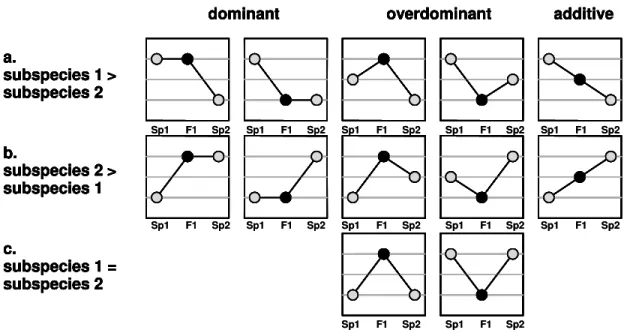 Figure 2.1: Schematic representation of within-locus modes of gene action in the comparison between  house mouse subspecies and their F1 hybrids