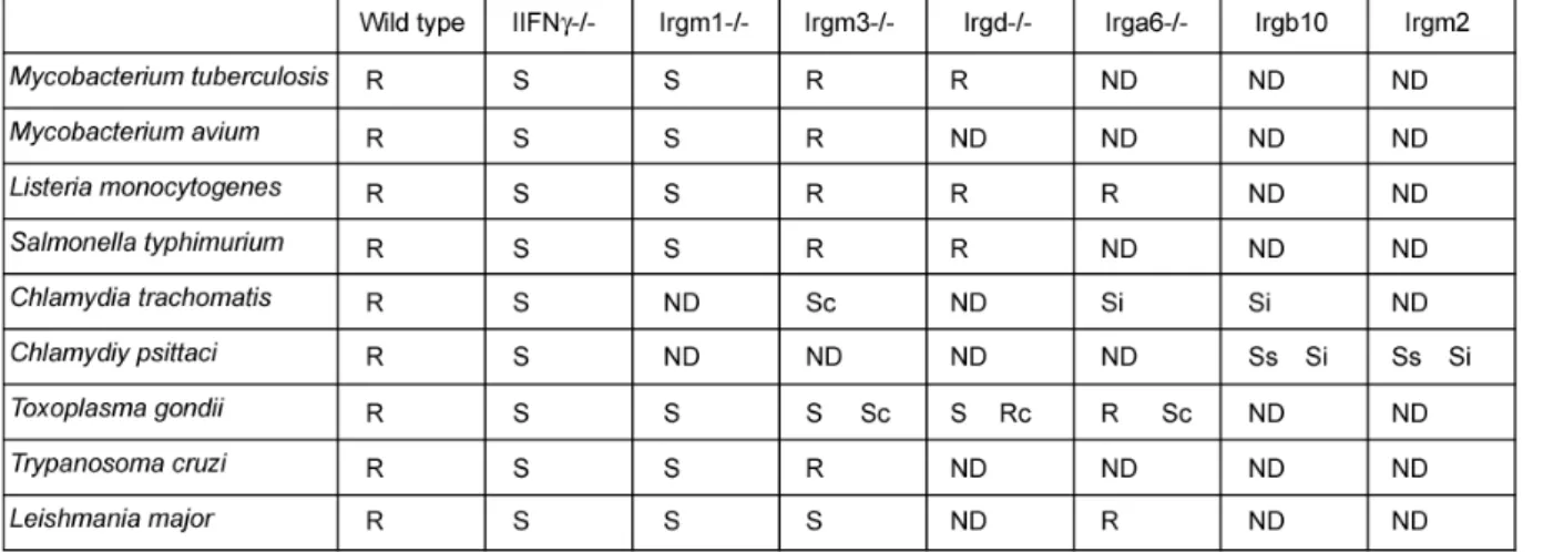 Table 1.1. Susceptibilities of IRG-deficient mice and cells to intracellular pathogens (modified  from (Martens and Howard, 2006) 