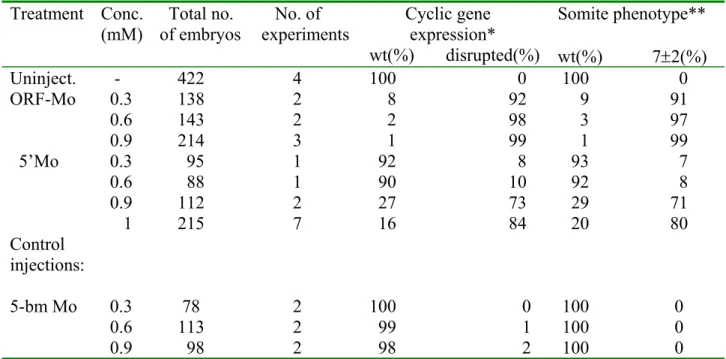 Table 2: Effects of Su(H)-Mo injections on cyclic gene expression and somite morphology  Treatment Conc